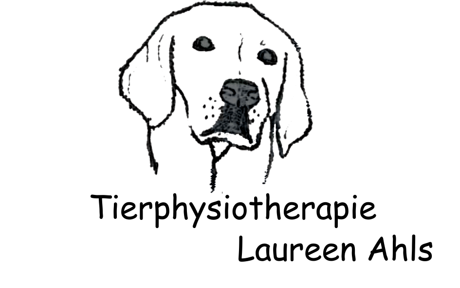 Logo Transparent fertig